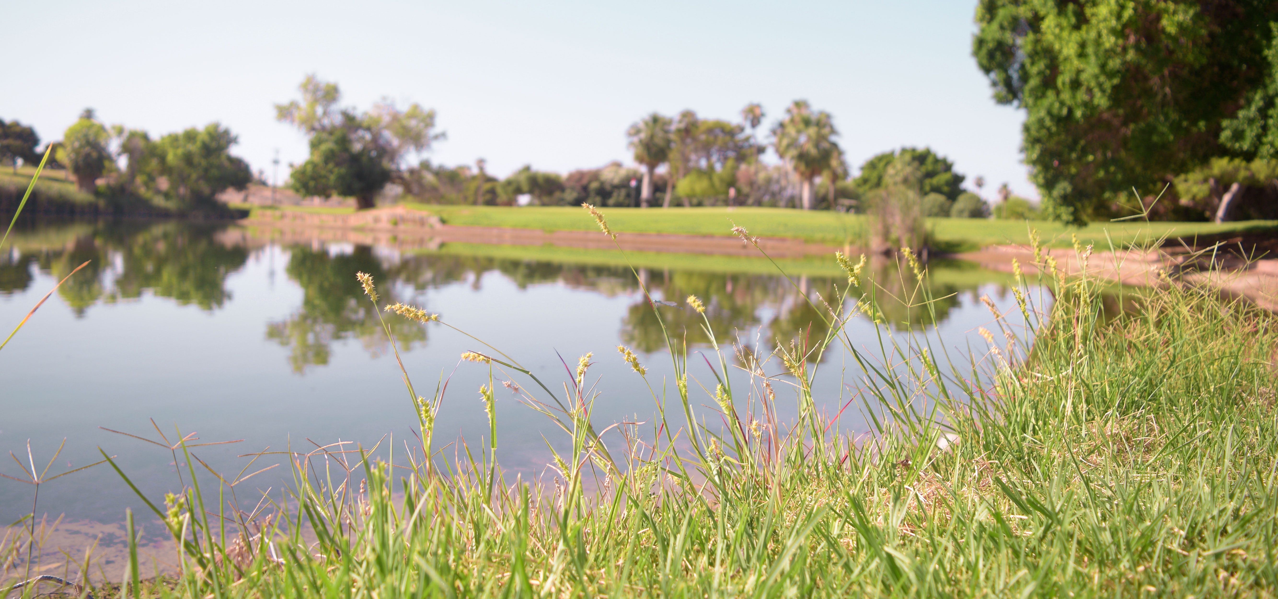 homepage image of golf course with water